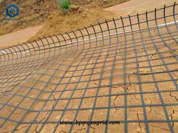 What are Geogrids