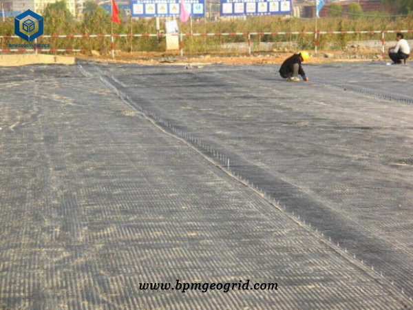 Warp Knitted Polyester Geogrid Driveway in Philippines