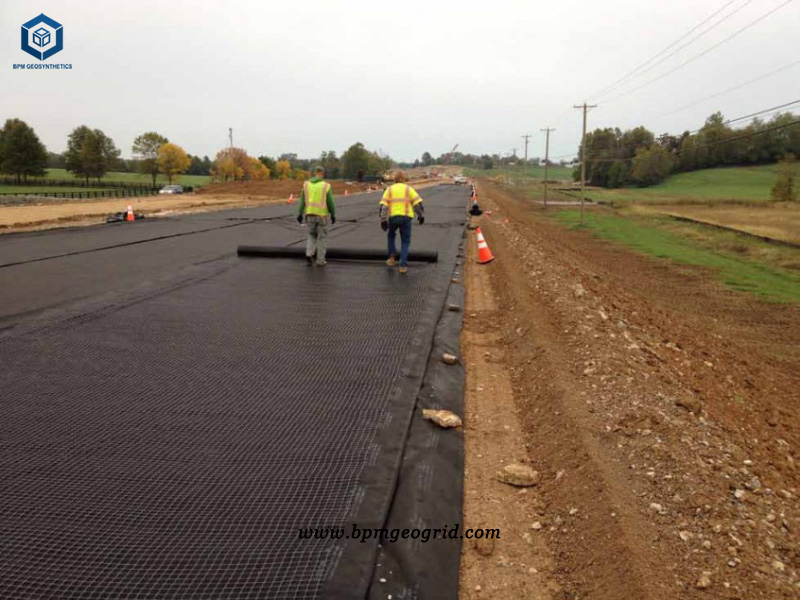Pet Geogrid For Road Project In Oman