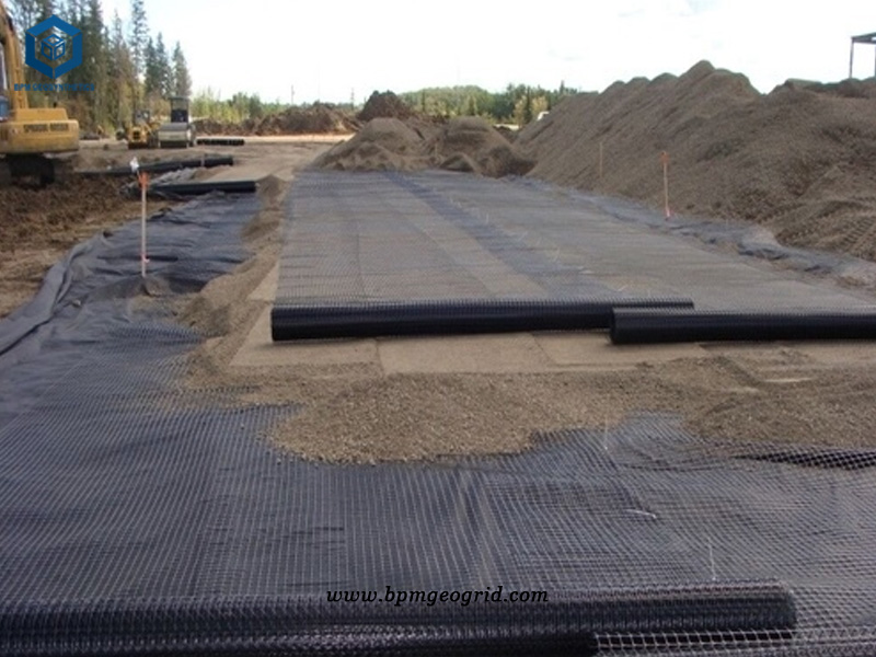 Fiberglass Geogrid Mesh for Road Construction Project in China