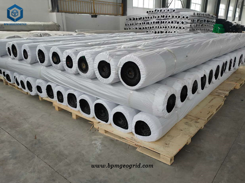 Warp Knitting Polyester Geogrid Mesh for Road Construction in Myanmar